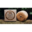 PROSPEKTUS MAISSINJYV MAK 3 KG NUOLUKIVI