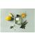 Essential Parfums Nice Bergamote - EdP 100 ml – kuva 4