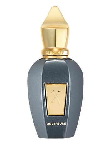 Xerjoff Vibe Ouverture - EdP 100 ml – kuva 3/8