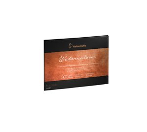 HAHNEMä?HLE COLLECTION R 30X40 AKV.LEHTIä?