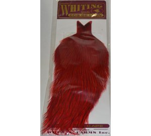WHITING CDL CAPE BAD DY RED KUKONNISKA