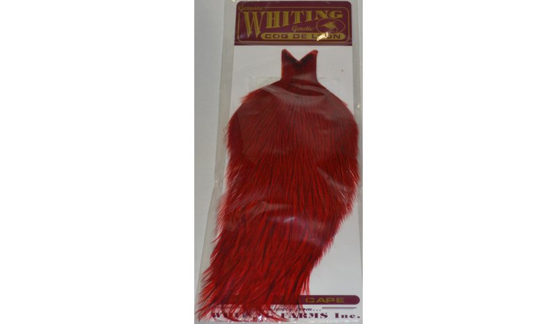 WHITING CDL CAPE BAD DY RED KUKONNISKA