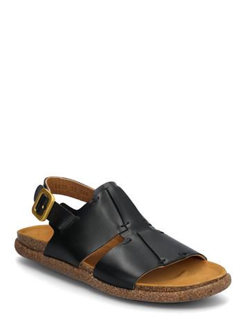 ANGULUS Sandals - Flat - Open Toe - Op - Brown - 42