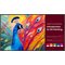 BenQ SH6504 (65"), näyttö – kuva 1