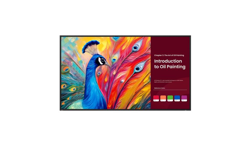BenQ SH6504 (65"), näyttö