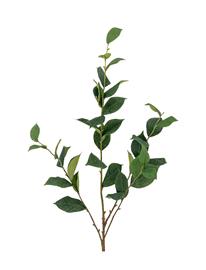 Bloomingville Eucalyptus Stem - Green - H110CM