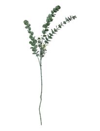 Bloomingville Eucalyptus Stem - Green - H76CM