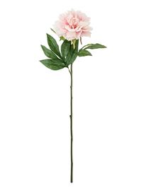 Bloomingville Peony Stem - Pink - H66CM