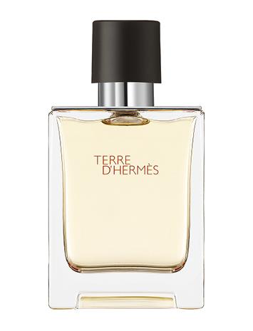 Hermès Terre d'Hermès - EdT 50 ml