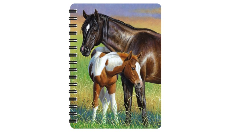 DELUXEBASE 3D MARE & FOAL KIERREVIHKO
