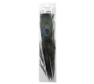 PEACOCK FULL LARGE NATURAL