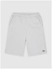 Dickies Streetsboro 13 Inch miesten collegeshortsit