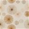 Tage Beige - 1068801-01 Tapetti – kuva 2