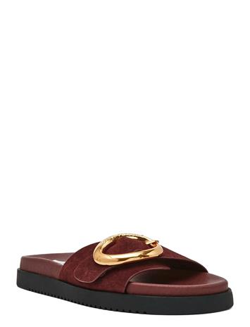Steve Madden Mistify - Gold - 41