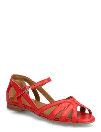 ANGULUS Sandals - Flat - Gold - 42