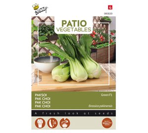 BUZZY PATIO VEGGIES PAK CHOI GREEN F1