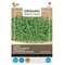 BUZZY BIO SPROUTING VIHANNESKRASSI – kuva 1