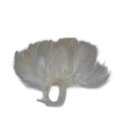 EUMER SALTWATER NECK HACKLE WHITE #377
