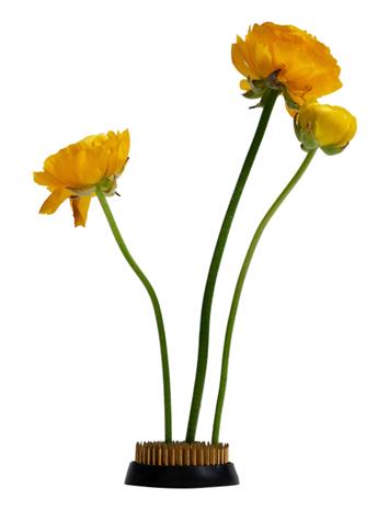 Hein Studio Kenzan maljakko ä˜6 cm