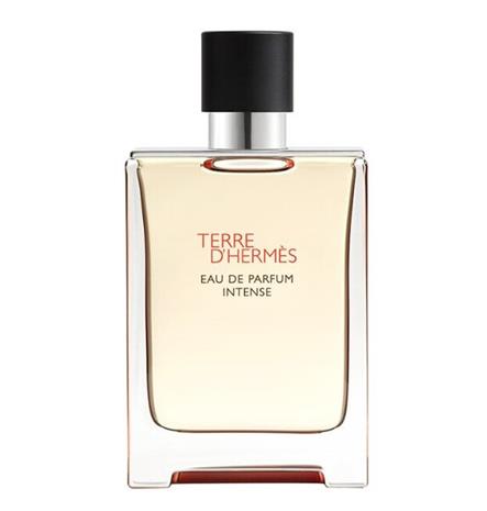 Hermès Terre d'Hermès Intense - EdP 100 ml