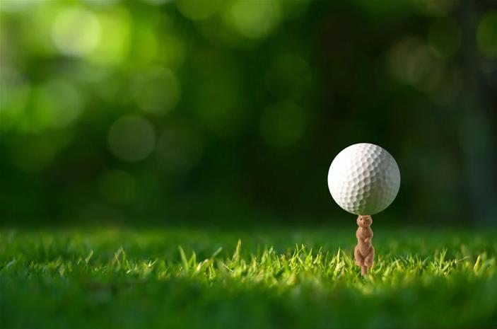 Gopher Golf Tee S - 6 pcs