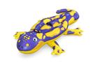 Bestway Splashin' Salamander Ride-On 1,91 x 1,19 m salamanteri uimalelu, Ulkolelut