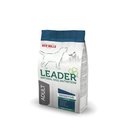 Leader Adult Sensitive suurten rotujen koirille, 2 kg