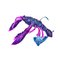 ORKA KING CRAB 7.5CM V JIGI – kuva 1