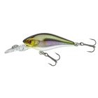 DAIWA PX TODDLER CRANK 60MR AYU VAAPPU