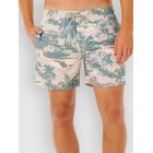 Rip Curl Dreamers Volley Surffishortsit fatigue Miehet