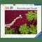 Structures of Nature Palapeli 500 palaa Ravensburger – kuva 1