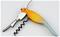 Winkee - Corkscrew Parrot – kuva 1