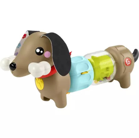 Fisher Price Click & Spin Activity Pup CDU – kuva 7/8