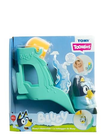 Bluey Water Slide