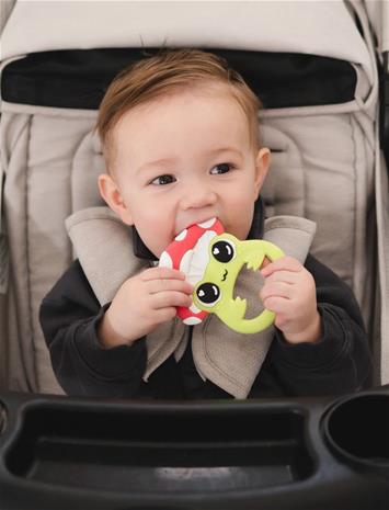 Lamaze Finlee The Frog Teether