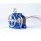 Phaetus Apus Extruder – kuva 1