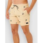 Rip Curl Sessions Volley Surffishortsit straw Miehet