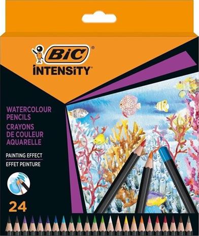 BIC Intensity 24 kpl vesivärikynät