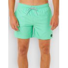 Rip Curl Offset Daily Volley Surffishortsit green sd Miehet