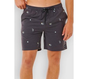 Rip Curl Skelly Breach Volley Surffishortsit black Miehet