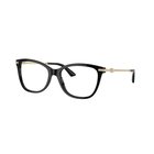 Lasit vahvuuksilla Jimmy Choo JC3007HB 5000