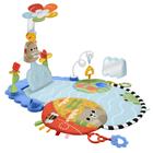Fisher Price Fisher-Price HYR60 baby gym/play mat