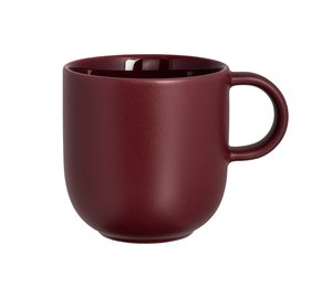 AARIKKA PUISTO VIIN.PUNAINEN MUKI