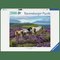 Wild Horses Palapeli 2000 palaa Ravensburger – kuva 1