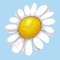 FA PRETTY DAISY MINI NUMEROMAALAUS – kuva 1
