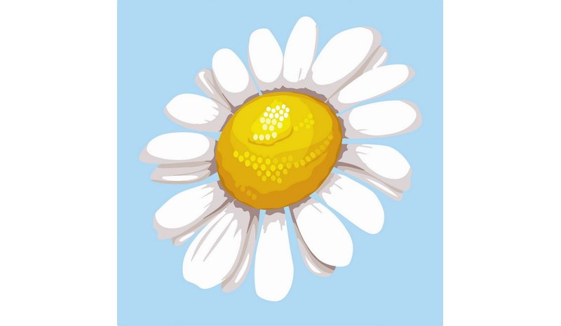 FA PRETTY DAISY MINI NUMEROMAALAUS – kuva 1/1