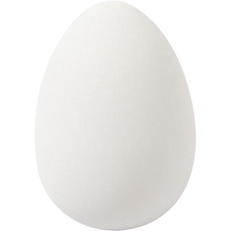Creativ Company Goose eggs White 8st.