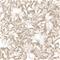 Louise Beige - 1014001-05 Tapetti – kuva 2