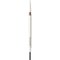 Morphe Nano Brow Pencil Biscotti – kuva 1