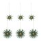 House Doctor - Stari Joulukoriste 6 kpl Green/Champagne – kuva 1